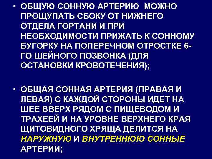  • ОБЩУЮ СОННУЮ АРТЕРИЮ МОЖНО ПРОЩУПАТЬ СБОКУ ОТ НИЖНЕГО ОТДЕЛА ГОРТАНИ И ПРИ