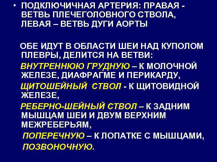  • ПОДКЛЮЧИЧНАЯ АРТЕРИЯ: ПРАВАЯ ВЕТВЬ ПЛЕЧЕГОЛОВНОГО СТВОЛА, ЛЕВАЯ – ВЕТВЬ ДУГИ АОРТЫ ОБЕ