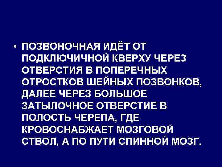  • ПОЗВОНОЧНАЯ ИДЁТ ОТ ПОДКЛЮЧИЧНОЙ КВЕРХУ ЧЕРЕЗ ОТВЕРСТИЯ В ПОПЕРЕЧНЫХ ОТРОСТКОВ ШЕЙНЫХ ПОЗВОНКОВ,