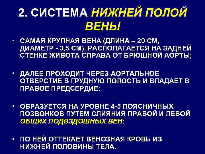 2. СИСТЕМА НИЖНЕЙ ПОЛОЙ ВЕНЫ • САМАЯ КРУПНАЯ ВЕНА (ДЛИНА – 20 СМ, ДИАМЕТР