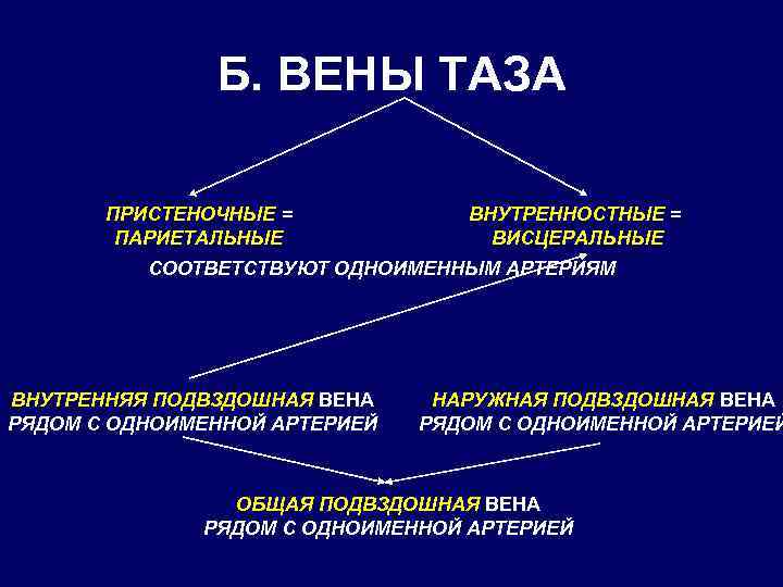 Б. ВЕНЫ ТАЗА ПРИСТЕНОЧНЫЕ = ПАРИЕТАЛЬНЫЕ ВНУТРЕННОСТНЫЕ = ВИСЦЕРАЛЬНЫЕ СООТВЕТСТВУЮТ ОДНОИМЕННЫМ АРТЕРИЯМ ВНУТРЕННЯЯ ПОДВЗДОШНАЯ