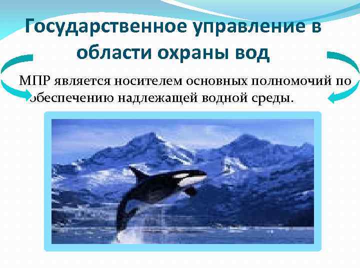 Государственное управление в области охраны вод МПР является носителем основных полномочий по обеспечению надлежащей