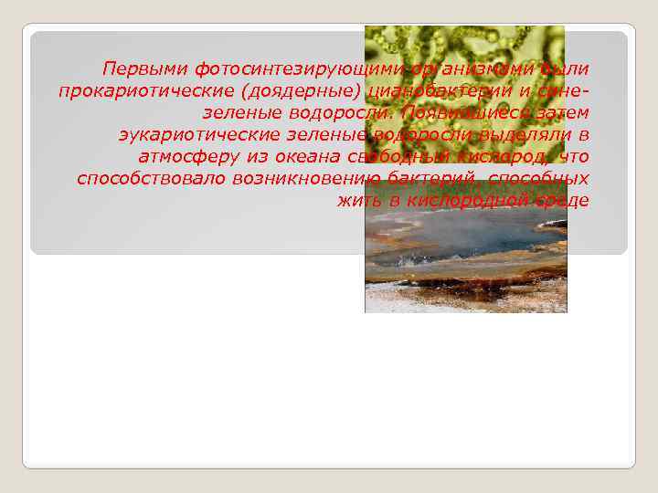 Первыми фотосинтезирующими организмами были прокариотические (доядерные) цианобактерии и синезеленые водоросли. Появившиеся затем эукариотические зеленые