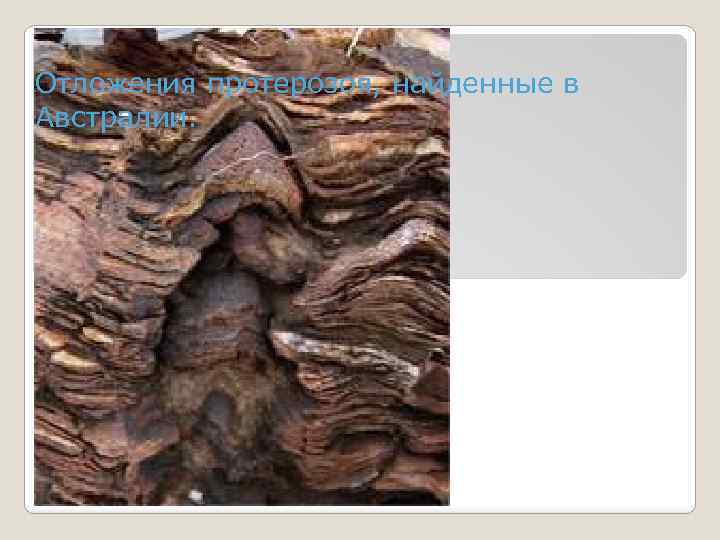 Отложения протерозоя, найденные в Австралии. 