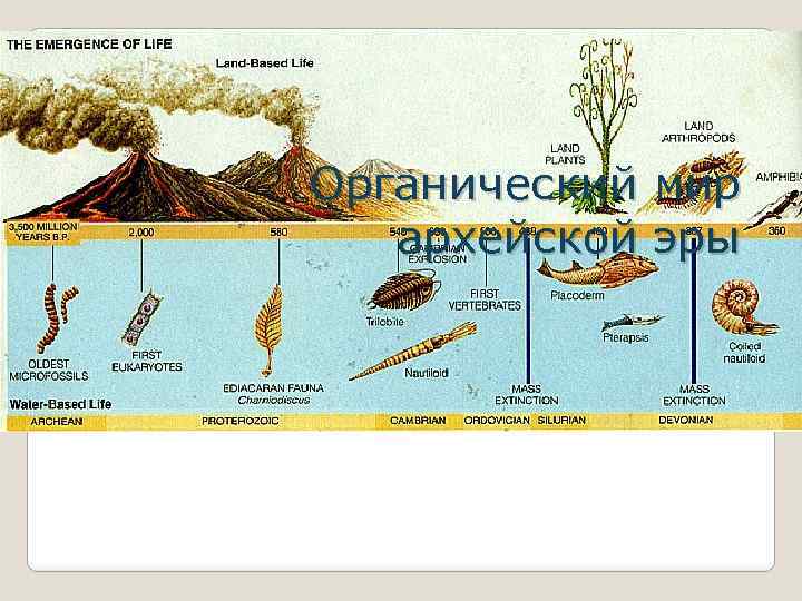 Органический архейской мир эры 