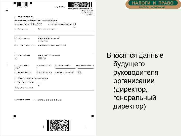 Вносятся данные будущего руководителя организации (директор, генеральный директор) 