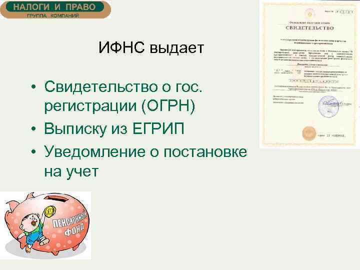 ИФНС выдает • Свидетельство о гос. регистрации (ОГРН) • Выписку из ЕГРИП • Уведомление