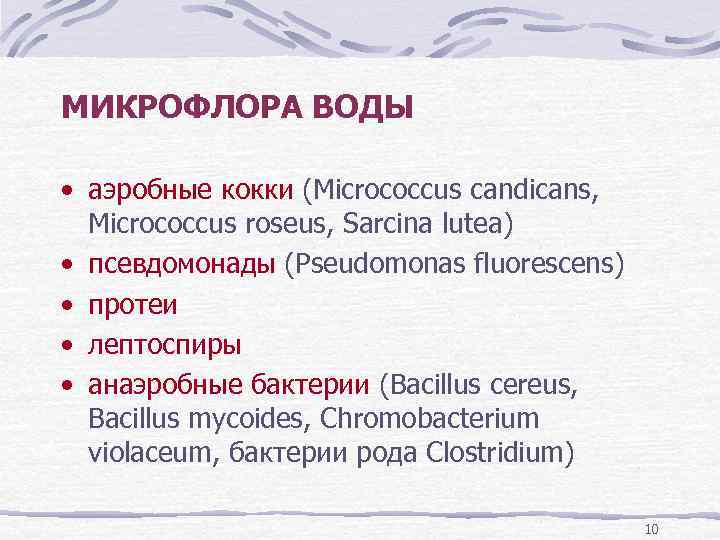 МИКРОФЛОРА ВОДЫ • аэробные кокки (Micrococcus candicans, Micrococcus roseus, Sarcina lutea) • псевдомонады (Pseudomonas