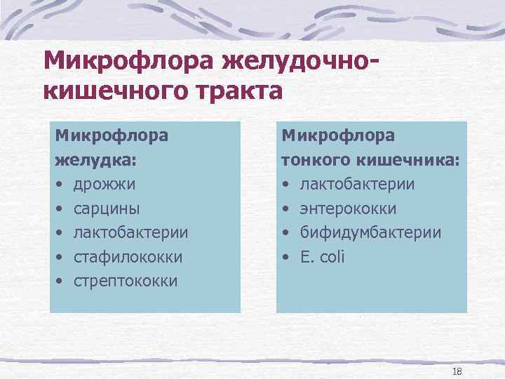 Микрофлора желудочнокишечного тракта Микрофлора желудка: • дрожжи • сарцины • лактобактерии • стафилококки •