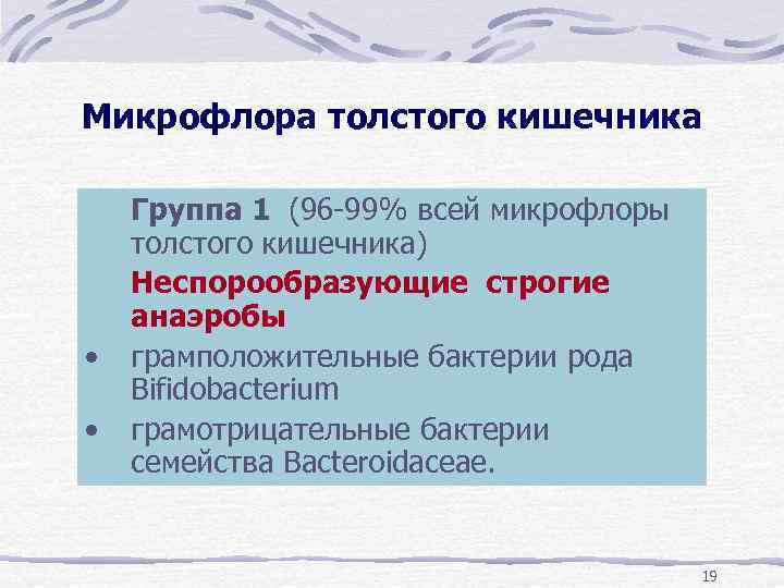 Микрофлора толстого кишечника • • Группа 1 (96 -99% всей микрофлоры толстого кишечника) Неспорообразующие