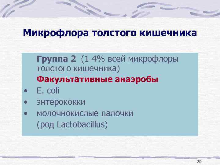 Микрофлора толстого кишечника • • • Группа 2 (1 -4% всей микрофлоры толстого кишечника)