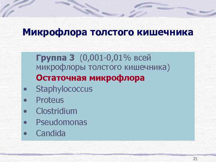 Микрофлора толстого кишечника • • • Группа 3 (0, 001 -0, 01% всей микрофлоры