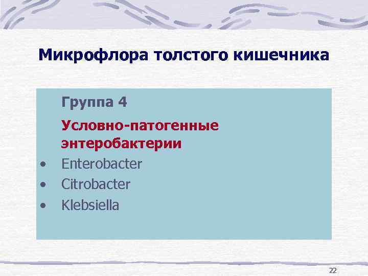 Микрофлора толстого кишечника Группа 4 • • • Условно-патогенные энтеробактерии Enterobacter Citrobacter Klebsiella 22