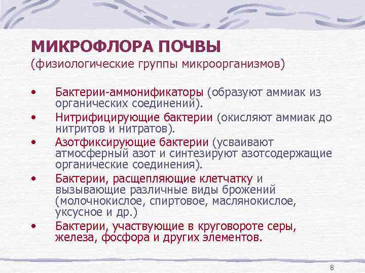 МИКРОФЛОРА ПОЧВЫ (физиологические группы микроорганизмов) • • • Бактерии-аммонификаторы (образуют аммиак из органических соединений).