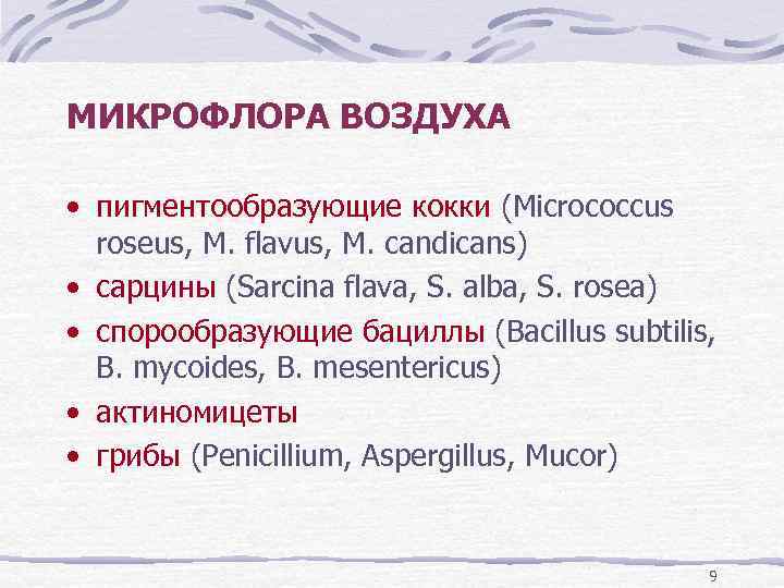 МИКРОФЛОРА ВОЗДУХА • пигментообразующие кокки (Micrococcus roseus, M. flavus, M. candicans) • сарцины (Sarcina