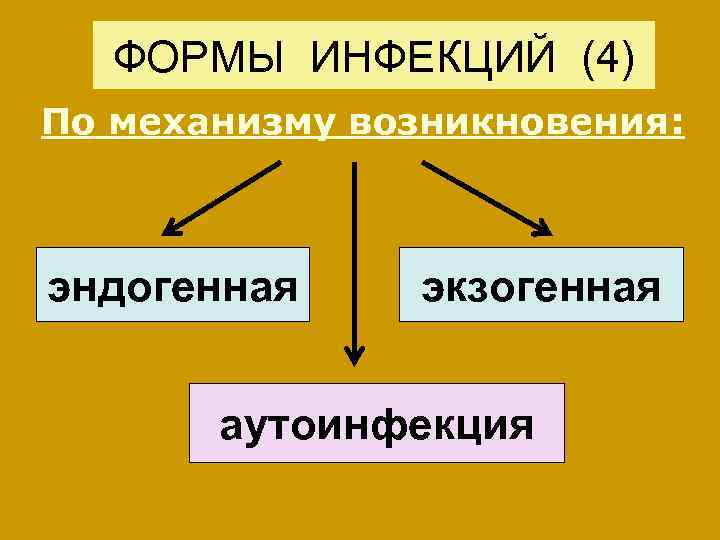 ФОРМЫ ИНФЕКЦИЙ (4) По механизму возникновения: эндогенная экзогенная аутоинфекция 