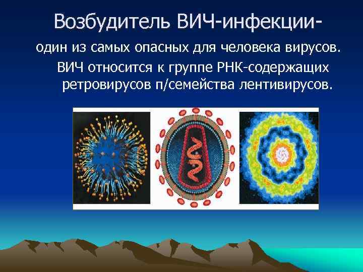Возбудитель ВИЧ-инфекцииодин из самых опасных для человека вирусов. ВИЧ относится к группе РНК-содержащих ретровирусов
