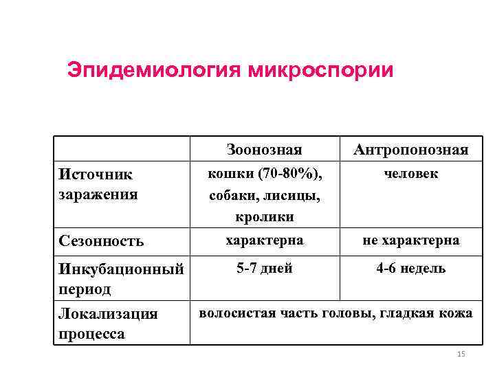 Эпидемиология микроспории Зоонозная Источник заражения Сезонность Антропонозная кошки (70 -80%), собаки, лисицы, кролики человек