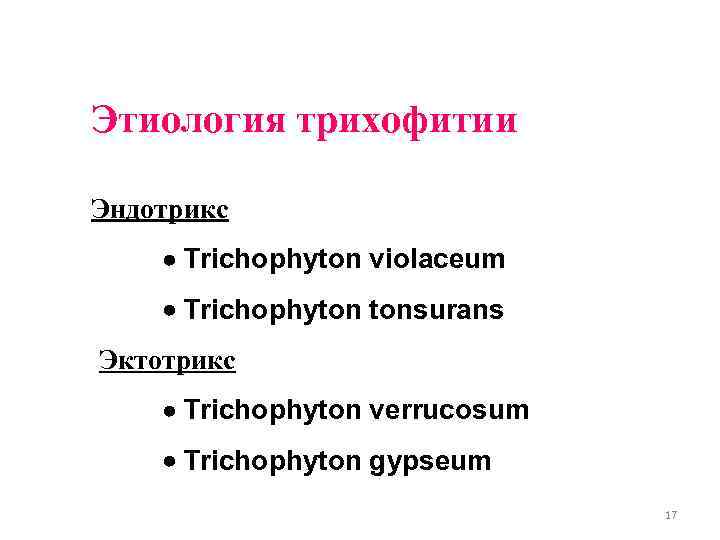 Этиология трихофитии Эндотрикс Trichophyton violaceum Trichophyton tonsurans Эктотрикс Trichophyton verrucosum Trichophyton gypseum 17 