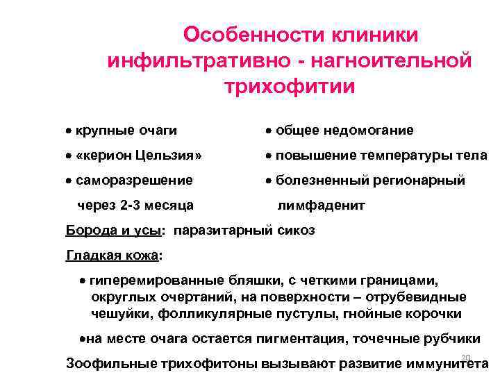  Особенности клиники инфильтративно - нагноительной трихофитии крупные очаги общее недомогание «керион Цельзия» повышение