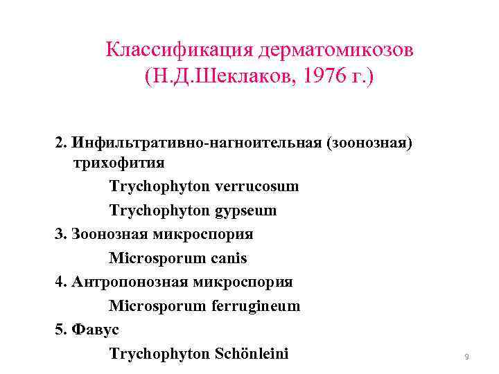 Классификация дерматомикозов (Н. Д. Шеклаков, 1976 г. ) 2. Инфильтративно-нагноительная (зоонозная) трихофития Trychophyton verrucosum