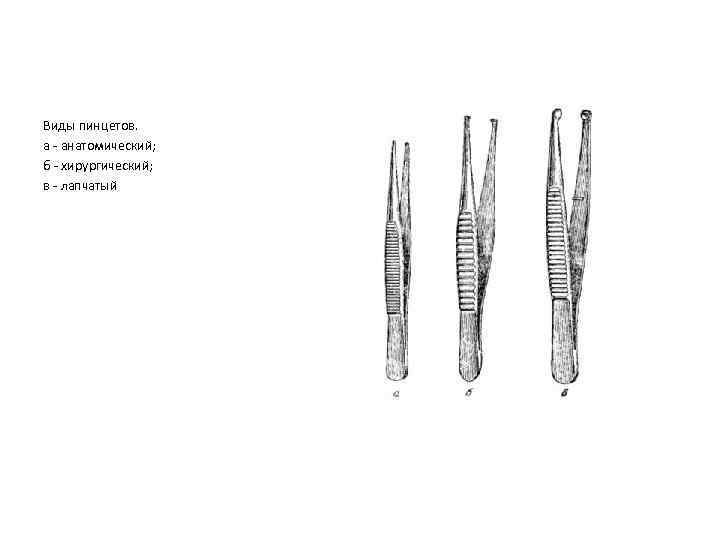 Виды пинцетов. а - анатомический; б - хирургический; в - лапчатый 