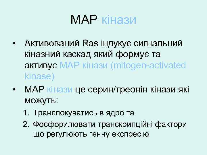 MAP кінази • Активований Ras індукує сигнальний кіназний каскад який формує та активує MAP