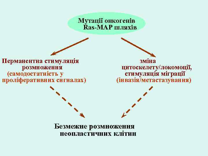 Мутації онкогенів Ras-MAP шляхів Перманентна стимуляція розмноження (самодостатність у проліферативних сигналах) зміна цитоскелету/локомоції, стимуляція
