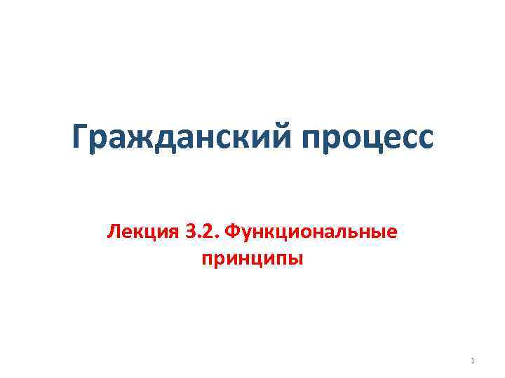 Гражданский процесс заканчивается. Гражданский процесс лекции. Функциональные принципы гражданского процесса.