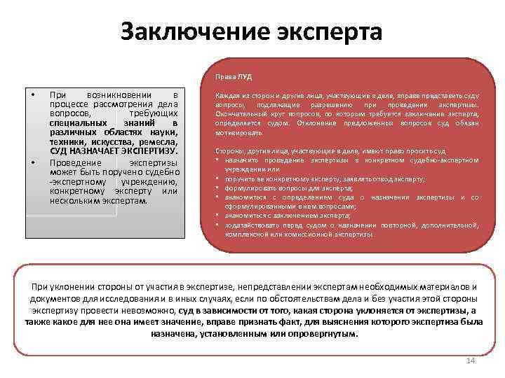 Заключение эксперта Права ЛУД • • При возникновении в процессе рассмотрения дела вопросов, требующих