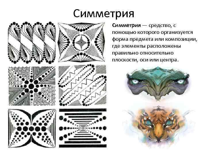 Виды симметрии с картинками