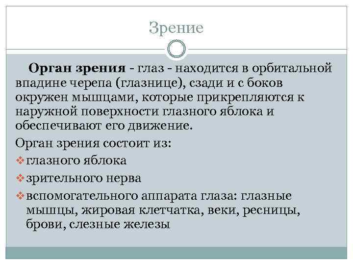 Зрение Орган зрения - глаз - находится в орбитальной впадине черепа (глазнице), сзади и