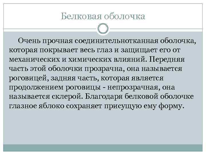 Белковая оболочка Очень прочная соединительнотканная оболочка, которая покрывает весь глаз и защищает его от