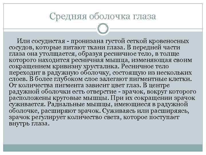 Средняя оболочка глаза Или сосудистая - пронизана густой сеткой кровеносных сосудов, которые питают ткани