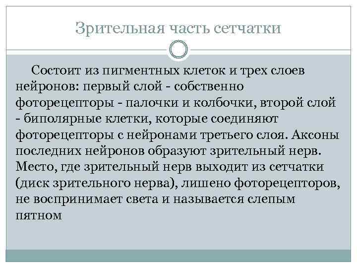 Зрительная часть сетчатки Состоит из пигментных клеток и трех слоев нейронов: первый слой -