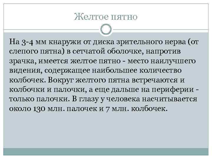 Желтое пятно На 3 -4 мм кнаружи от диска зрительного нерва (от слепого пятна)