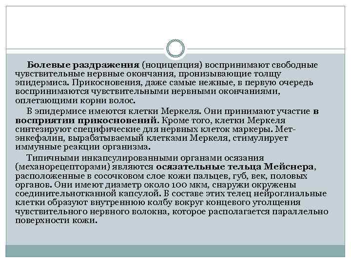 Болевые раздражения (ноцицепция) воспринимают свободные чувствительные нервные окончания, пронизывающие толщу эпидермиса. Прикосновения, даже самые