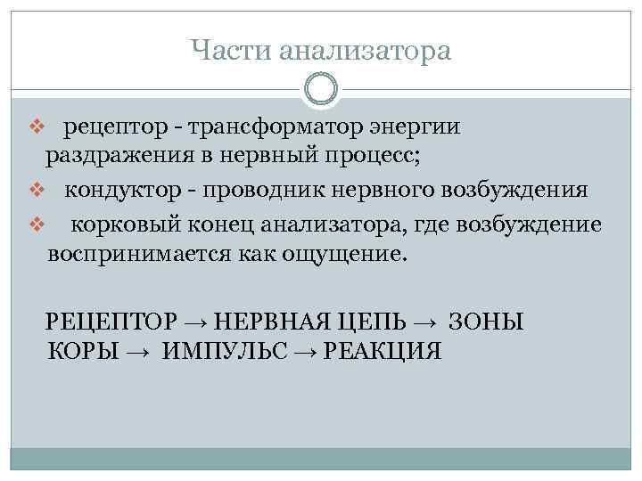 Части анализатора v рецептор - трансформатор энергии раздражения в нервный процесс; v кондуктор -