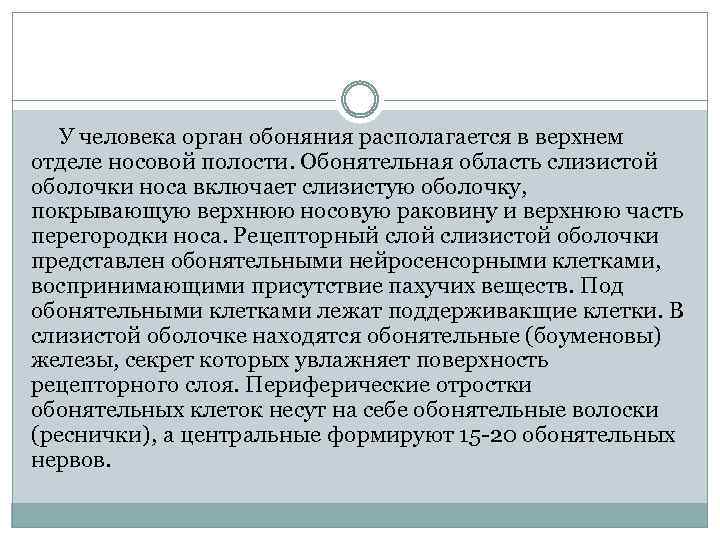  У человека орган обоняния располагается в верхнем отделе носовой полости. Обонятельная область слизистой