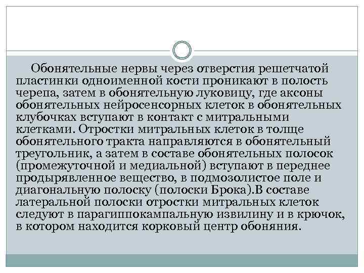  Обонятельные нервы через отверстия решетчатой пластинки одноименной кости проникают в полость черепа, затем