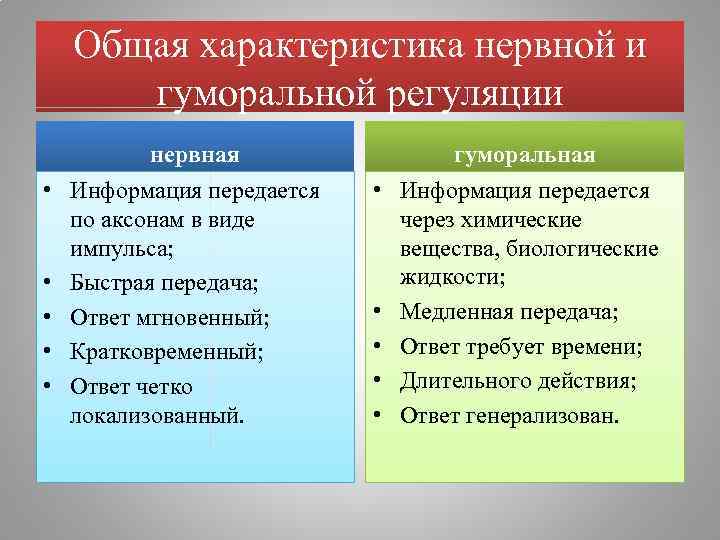 Общая характеристика нервной и гуморальной регуляции нервная • Информация передается по аксонам в виде