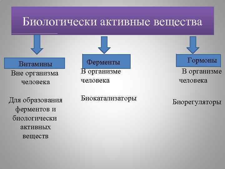 Биологически активные вещества Витамины Вне организма человека Для образования ферментов и биологически активных веществ