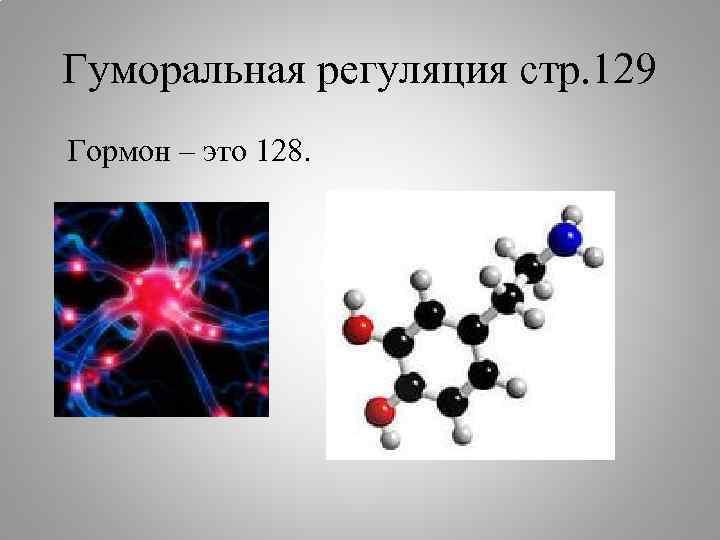 Гуморальная регуляция стр. 129 Гормон – это 128. 