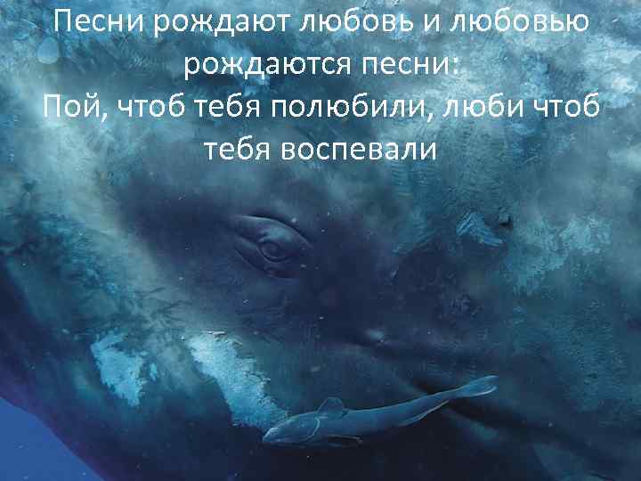 Песни рождают любовь и любовью рождаются песни: Пой, чтоб тебя полюбили, люби чтоб тебя