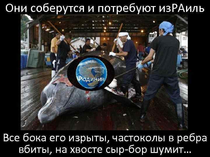 Они соберутся и потребуют из. РАиль Родиния Все бока его изрыты, частоколы в ребра