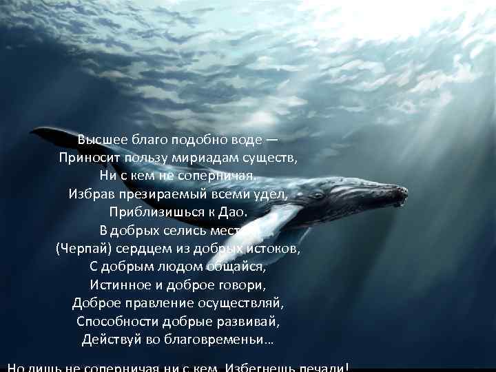Высшее благо подобно воде — Приносит пользу мириадам существ, Ни с кем не соперничая.