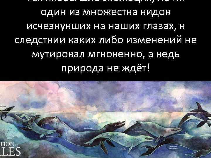 Так якобы шла эволюция, но ни один из множества видов исчезнувших на наших глазах,