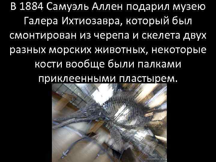В 1884 Самуэль Аллен подарил музею Галера Ихтиозавра, который был смонтирован из черепа и