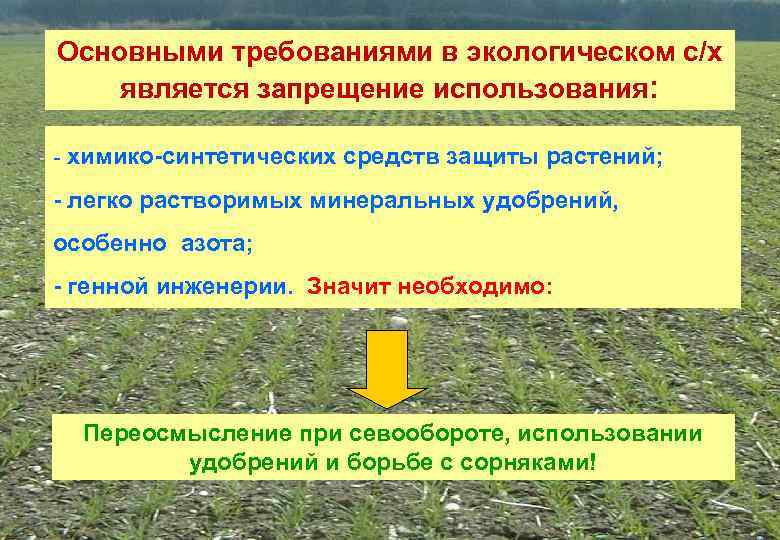 Основными требованиями в экологическом с/х является запрещение использования: - химико-синтетических средств защиты растений; -