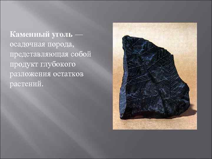 Каменный уголь осадочная